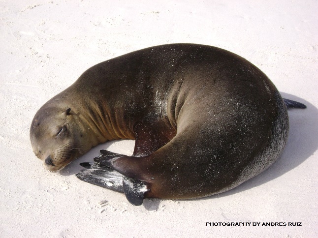 Find Mid-range and Economic Yachts; ask about departure dates, availability & promotions