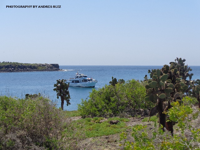 Choose the Galapagos Cruise category that you like the most...!!! 