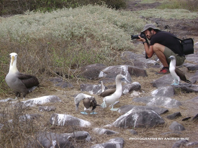 The Galapagos Islands are an Exclusive destination, Beautiful, Natural & a  Peaceful place in the World…!!!