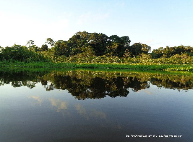 We have great tours in the RainForest  & Highlands of Ecuador