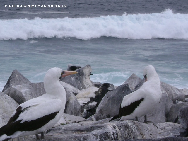 Please check the information, details & photos about our Tours