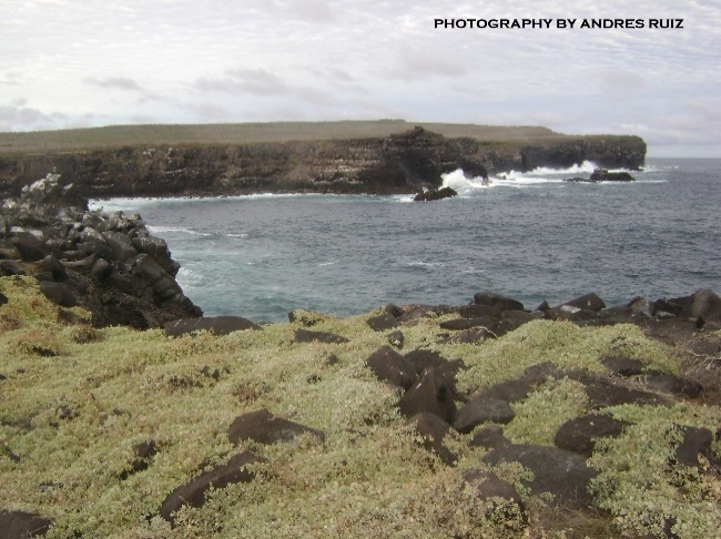 Please check the information, details & photos about our Tours