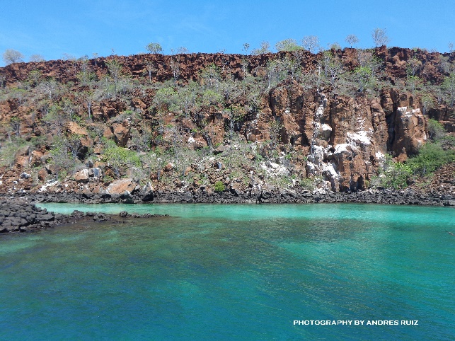 Contact to us for help you with your Galapagos  & Ecuador Experience…!!! ar.toursgalapagos.ecuador@gmail.com