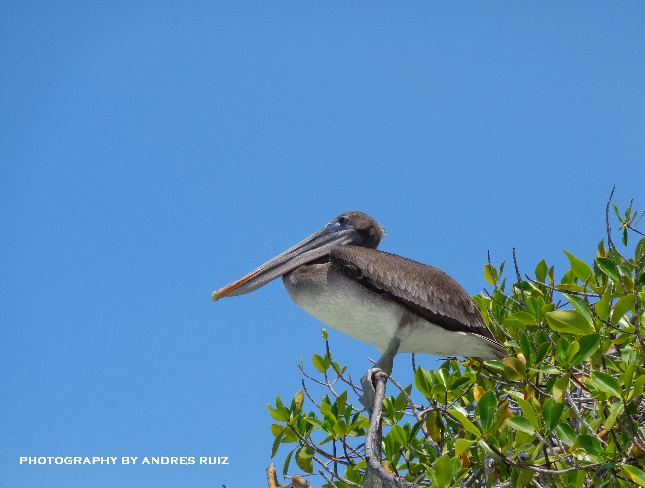 Ask about our Special Tours & Promotions